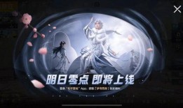 爆料最新皮肤吃鸡视频播放,最新吃鸡视频爆火，皮肤玩法大揭秘！