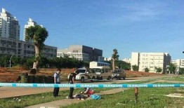 最新海南大学爆料,揭秘校园新动态与未来发展规划